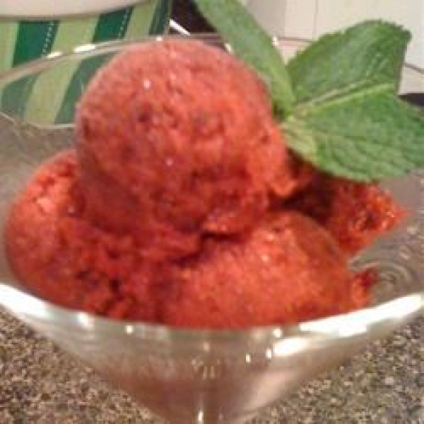 Sour Cherry Sorbet