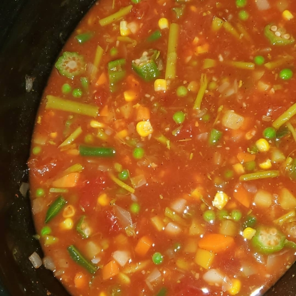 Quick and Fast Vegetarian Vegetable Soup in a Hurry