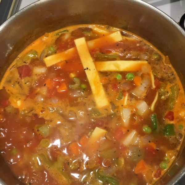 Quick and Fast Vegetarian Vegetable Soup in a Hurry