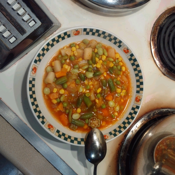 Quick and Fast Vegetarian Vegetable Soup in a Hurry