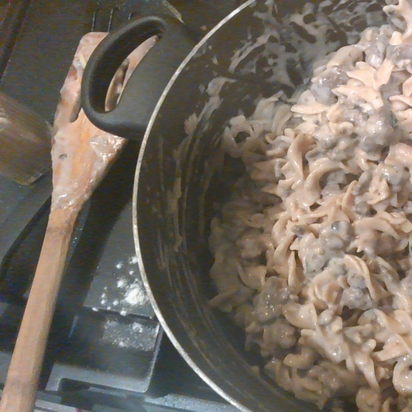 Beef Stroganoff with Ground Beef