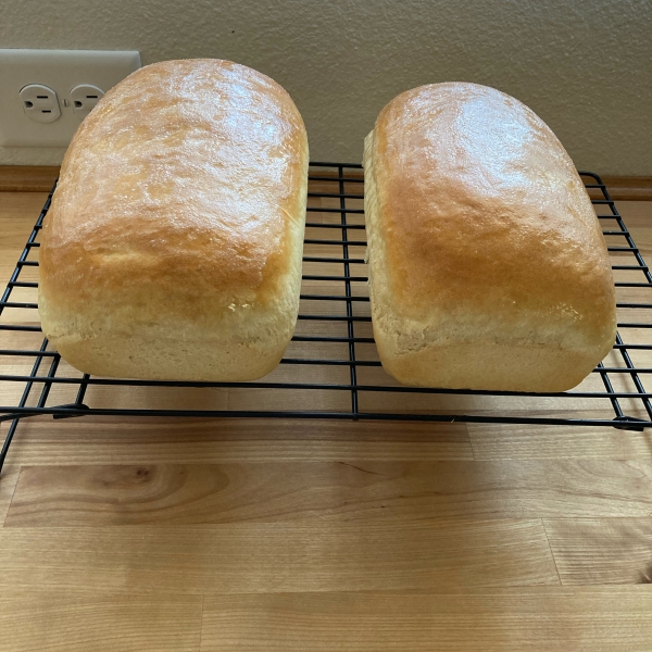 Sourdough Bread I