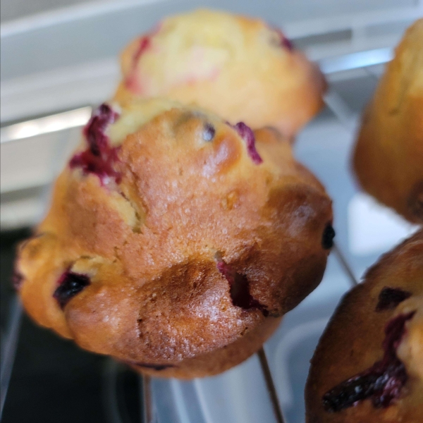 Orange-Cranberry Muffins