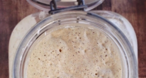 Gluten-Free Sourdough Starter