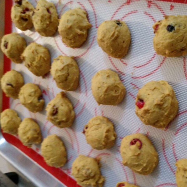 Cranberry Pumpkin Cookies