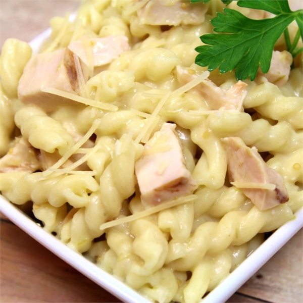 Creamy Chicken and Tomatillo Verde Pasta