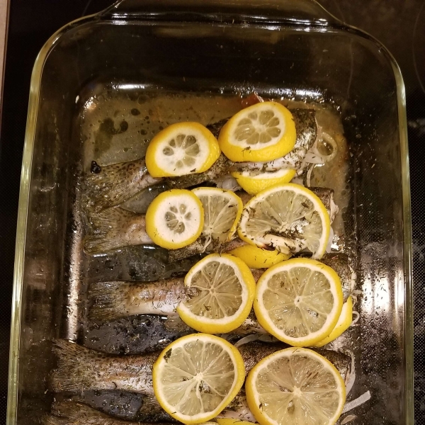 Baked Fresh Rainbow Trout