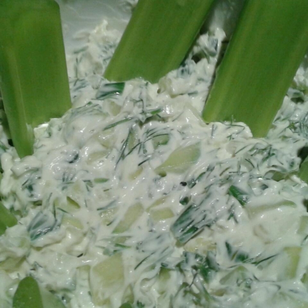 Cucumber Dip II