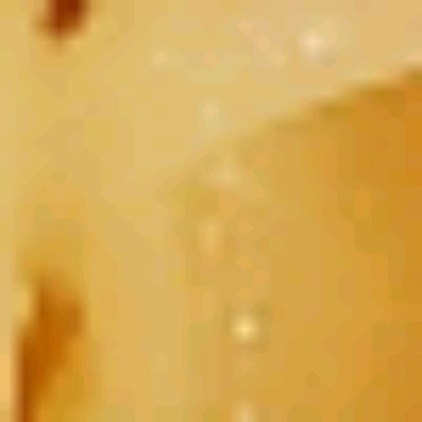 Cherry Tomato Sauce with Penne