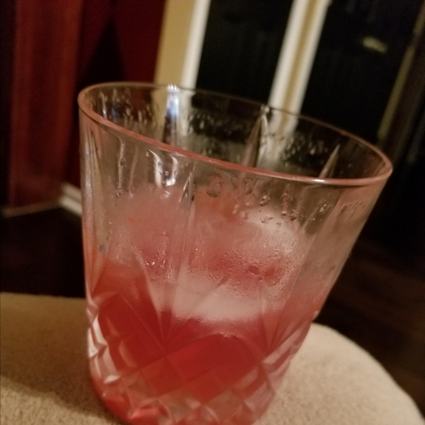 Sloe Gin Fizz Cocktail