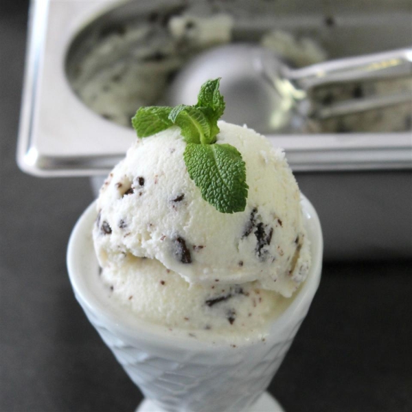 Mint-Chip Coconut Milk Ice Cream