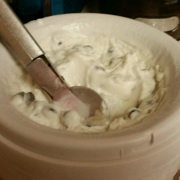 Mint-Chip Coconut Milk Ice Cream