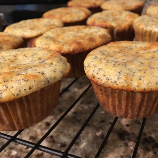 Lemony Poppy Seed Muffins