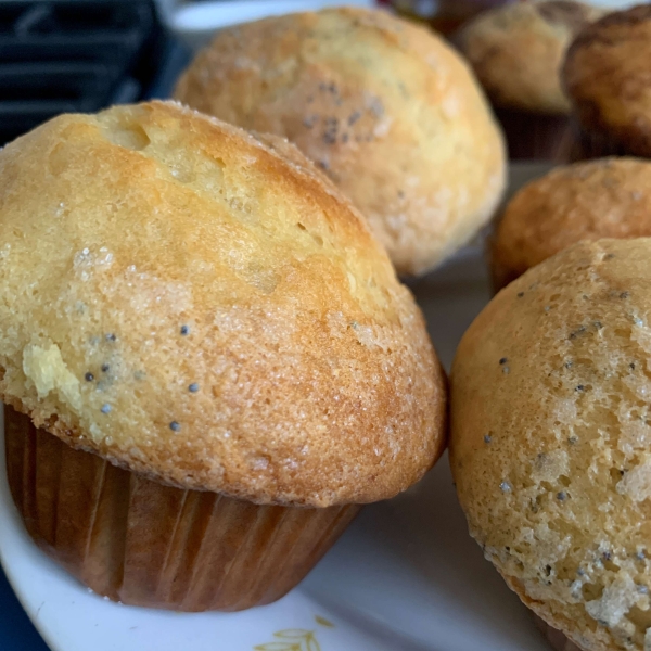 Lemony Poppy Seed Muffins