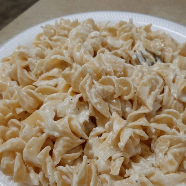 Polish Noodles (Cottage Cheese and Noodles)