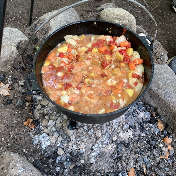 Chicken Vegetable Stew