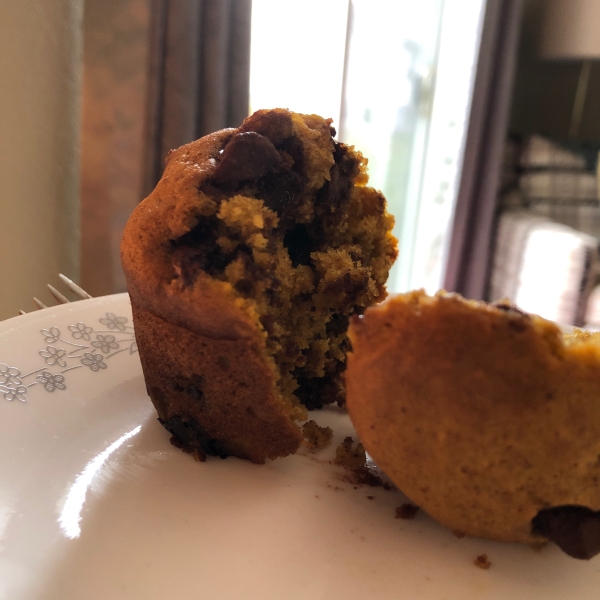 Pumpkin Chocolate Chip Muffins