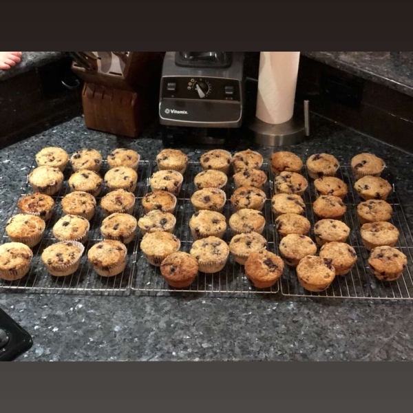 Saskatoon Berry Oat Muffins