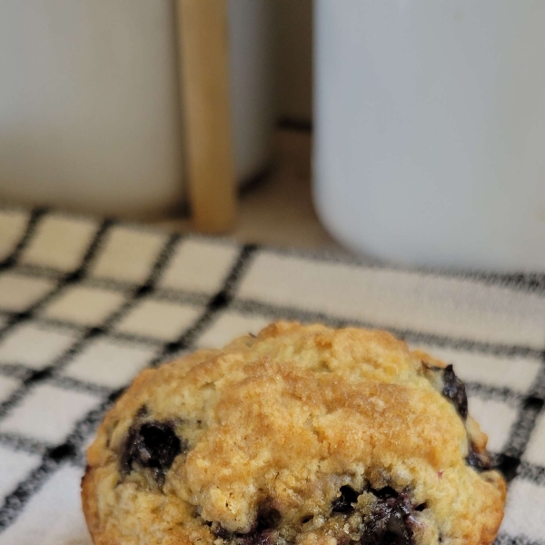 Saskatoon Berry Oat Muffins