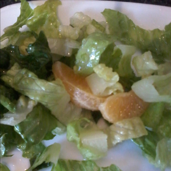 Orange Romaine Salad