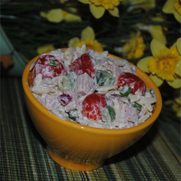 Orzo Ham Salad