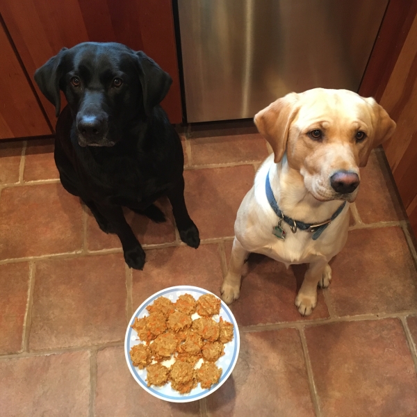 Homemade Dog Treats (Tango's Treats)