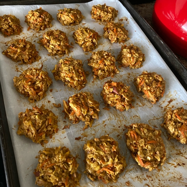 Homemade Dog Treats (Tango's Treats)