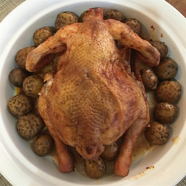 Simply Lemon Baked Chicken