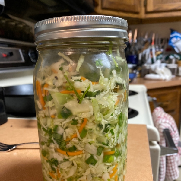 Sweet-and-Sour Coleslaw