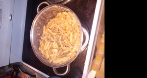 Salsa Chicken Alfredo