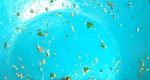 Rosemary Garlic Rub