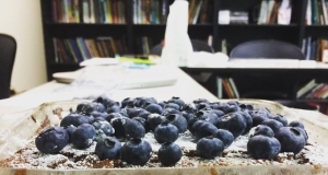 Cocoa Blueberry Cake