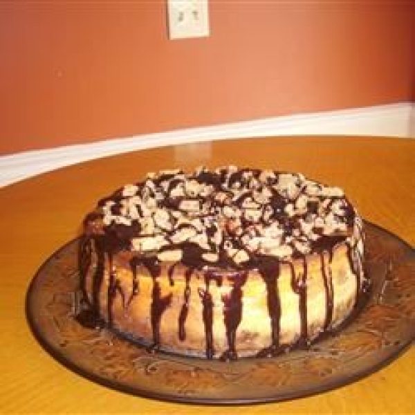 Chocolate Chip Cheesecake II