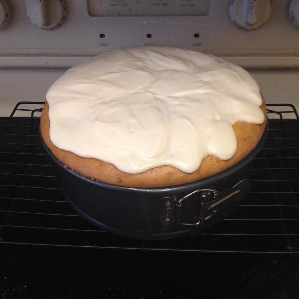 Persimmon Cheesecake