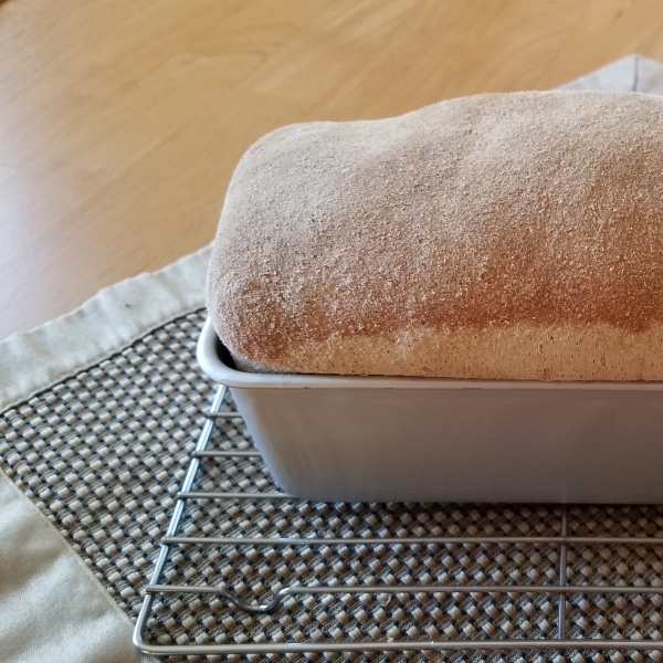 Whole Wheat Honey Bread