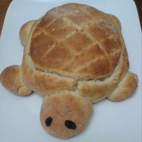 Turtle Bread