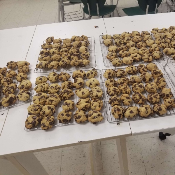 Best Ever Chocolate Chip Cookies