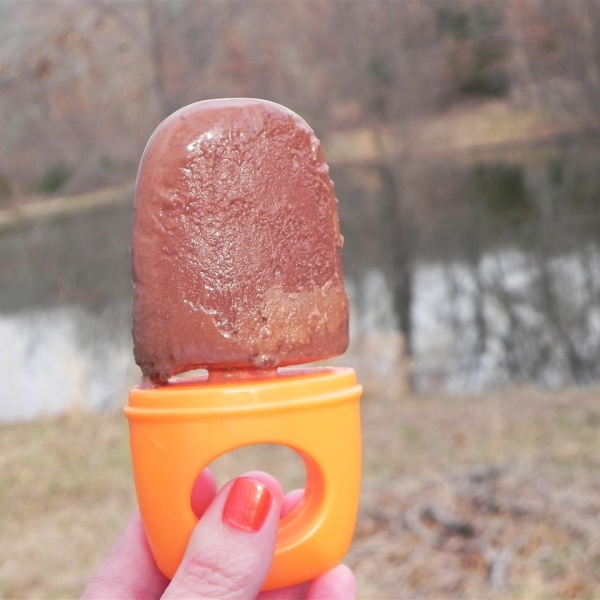 Lowfat Fudge Pops