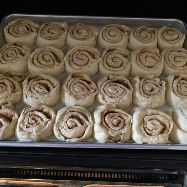 Rory's Guaranteed Rise Sourdough Cinnamon Rolls