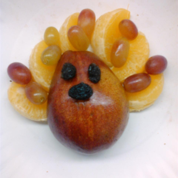 Sheri's Fun Fruit Turkey