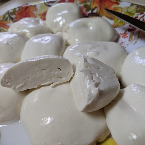 Homemade Mozzarella Cheese