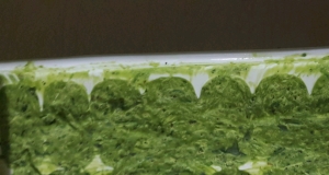 Chive Pesto