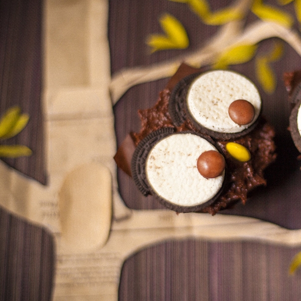 Owl Cupcakes