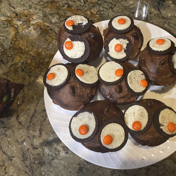 Owl Cupcakes