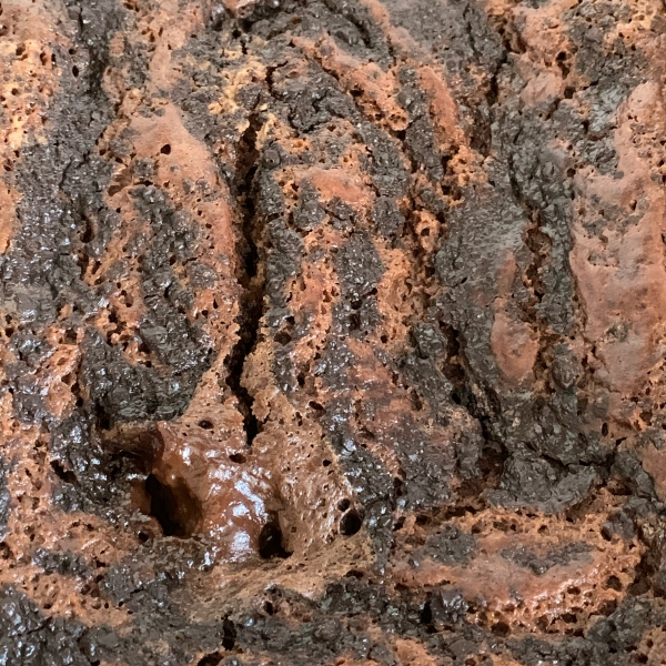 Chocolate Pudding Cake II