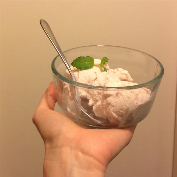 Fruited Ice Cream