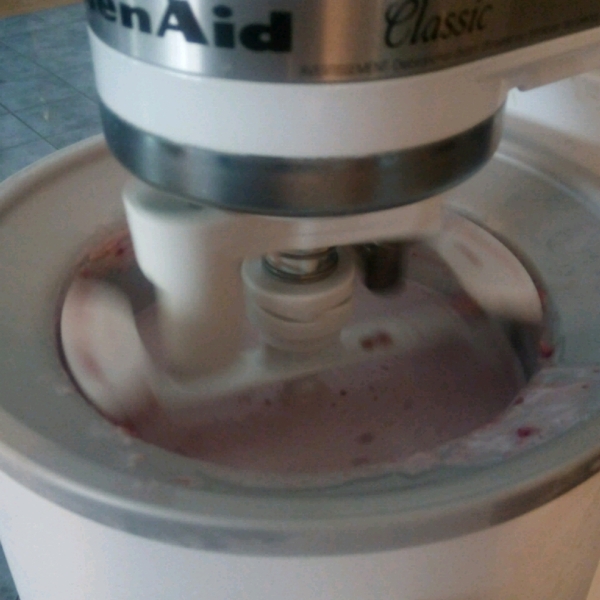 Fruited Ice Cream
