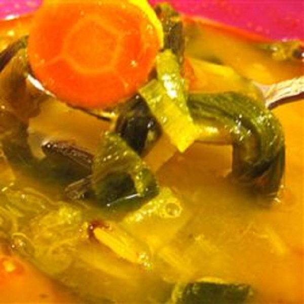 Vegan Japanese Winter Squash and Leek Soup