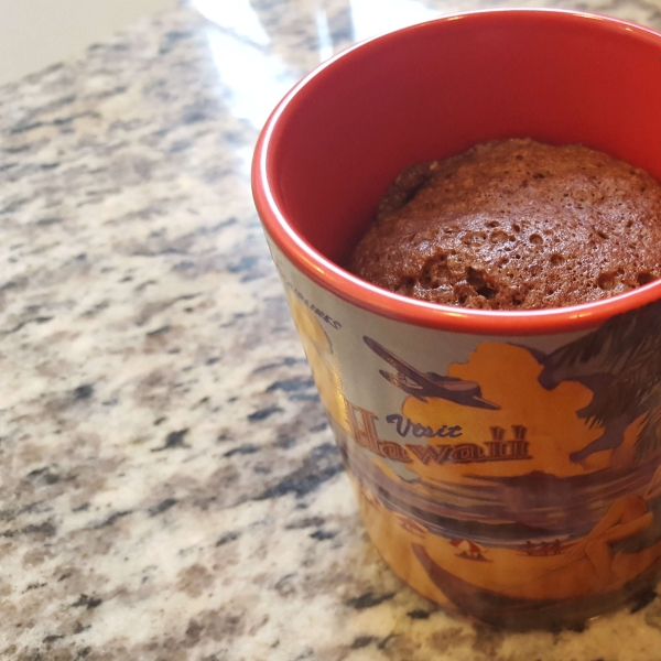 Paleo Chocolate Lover's Mug Cake