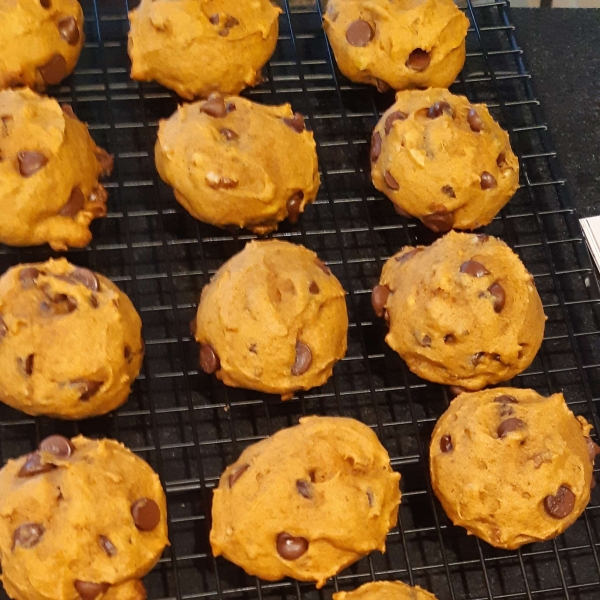 Pumpkin Chocolate Chip Cookies